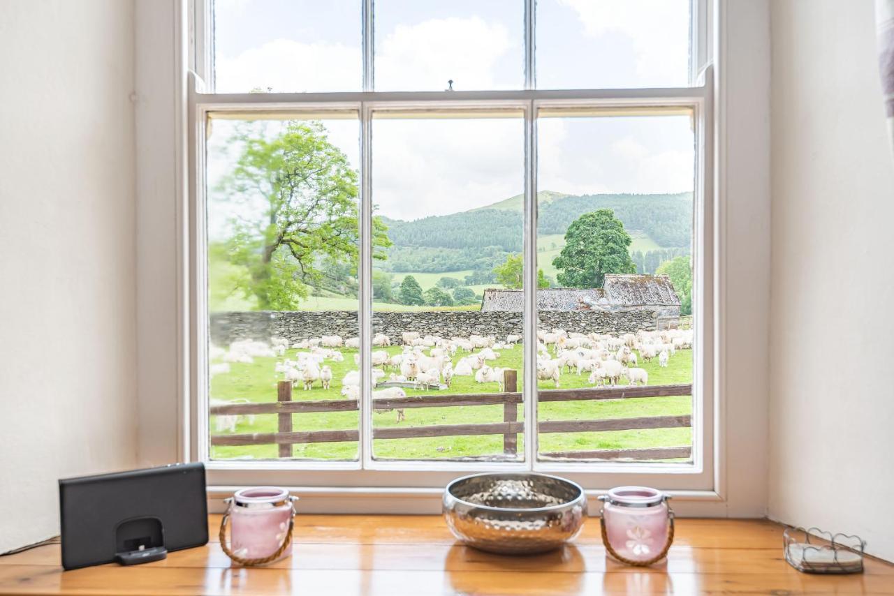 Waedog Bach Llanfor Exterior foto