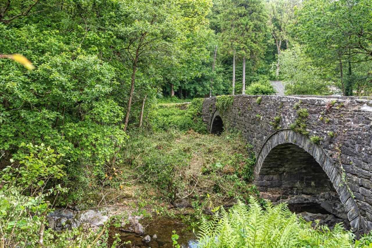 Waedog Bach Llanfor Exterior foto