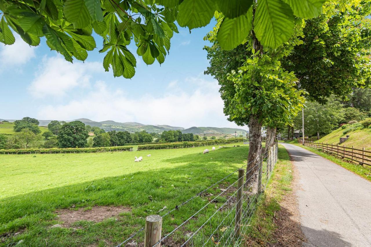 Waedog Bach Llanfor Exterior foto